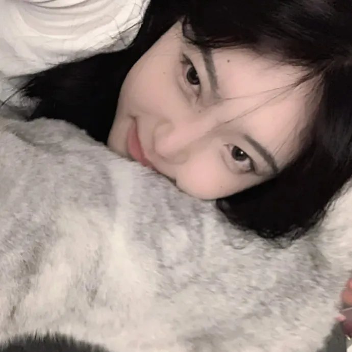 查莉成长日记第四季